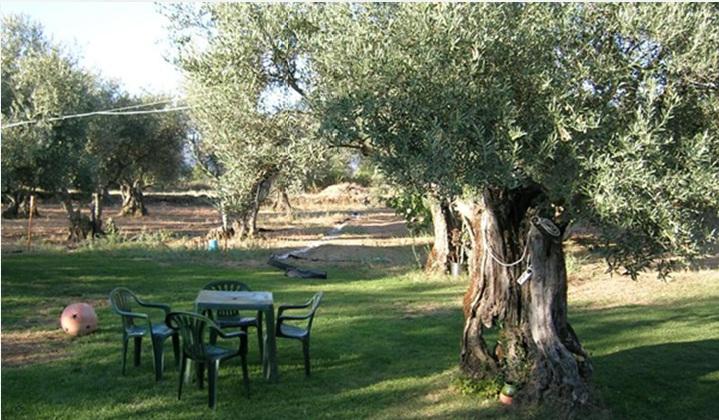 Hotel Rural Hojaranzos Tejeda de Tiétar レストラン 写真